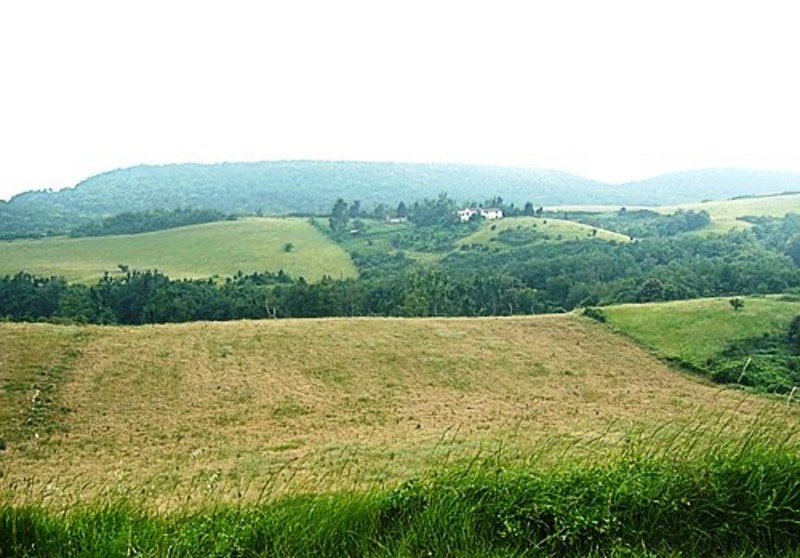 alairac