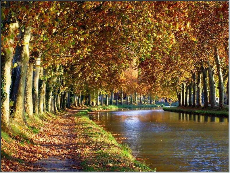 canal_midi1