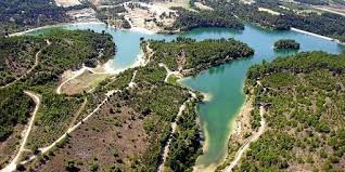cavayere