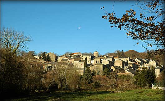fontiers31