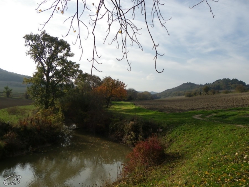 Villasavary-