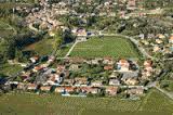 leuc